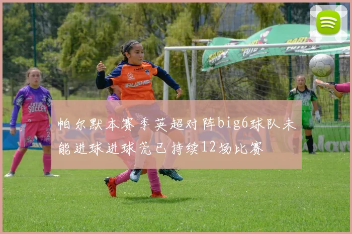 帕尔默本赛季英超对阵big6球队未能进球进球荒已持续12场比赛